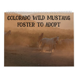 Colorado Foster to Adopt Calendar カレンダー