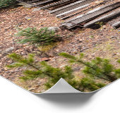 Colorado Outhouse at St. Elmo Ghost Town Photo ポスター (角)