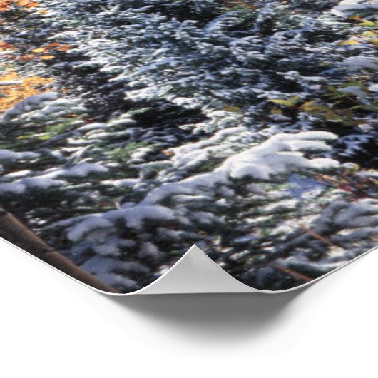 Colorado, San Juan Mountains, First snow ポスター (角)