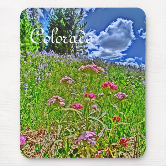 Colorado spring mousepad マウスパッド (正面)