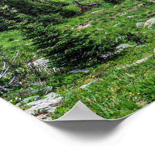 Colorado Wilderness // Amazing Peaceful Scenery ポスター (角)