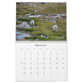 Colorado Wildlife Calendar カレンダー (3月 2027)