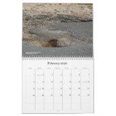 Colorado Wildlife Calendar カレンダー (2月 2026)