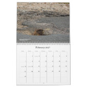Colorado Wildlife Calendar カレンダー (2月 2027)