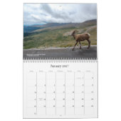 Colorado Wildlife Calendar カレンダー (1月 2027)