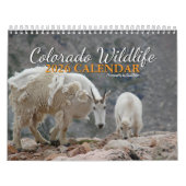 Colorado Wildlife Calendar カレンダー (カバー)