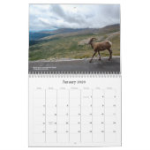 Colorado Wildlife Calendar カレンダー (1月 2026)