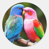 Colored Parrots Perched Together ラウンドシール (正面)