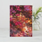 Colorful autumn leaves シーズンカード (スタンド正面)