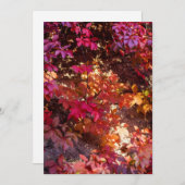 Colorful autumn leaves シーズンカード (正面/裏面)