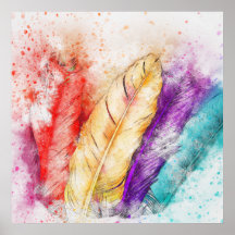 Colorful bird feathers