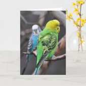 Colorful Budgies! - Frameable Art Card カード (黄色い花)