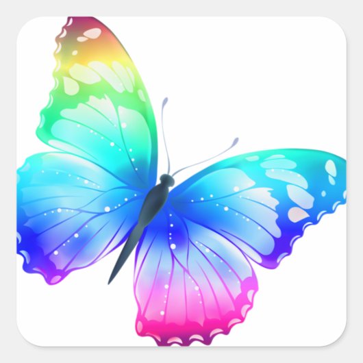 Colorful Butterfly スクエアシール (正面)