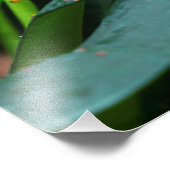 colorful butterfly in the garden フォトプリント            (角)