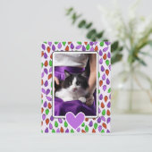 Colorful Christmas Lights Cat  ポストカード (スタンド正面)