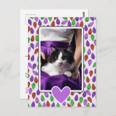 Colorful Christmas Lights Cat  ポストカード (正面/裏面)