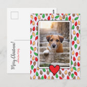 Colorful Christmas Lights Dog ポストカード (正面/裏面)