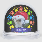 Colorful Christmas Paws Custom Pet Photo (裏面)