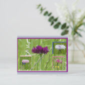 Colorful Cornflowers Collage DIY Postcard シーズンポストカード (スタンド正面)