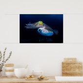 Colorful Cuttlefish Poster ポスター (キッチン)