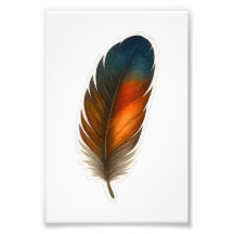 Colorful Feather Design