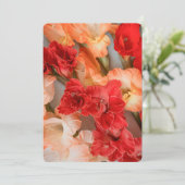 Colorful Gladiolus Flowers シーズンカード (スタンド正面)