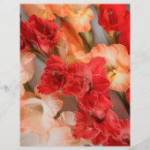 Colorful Gladiolus Flowers Scrapbook Paper (正面)