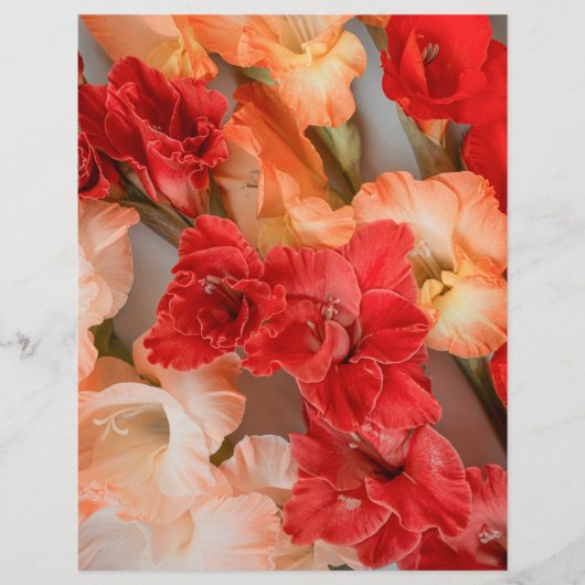 Colorful Gladiolus Flowers Scrapbook Paper (正面)