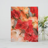 Colorful Gladiolus Flowers Scrapbook Paper (スタンド正面)