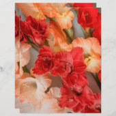 Colorful Gladiolus Flowers Scrapbook Paper (正面/裏面)