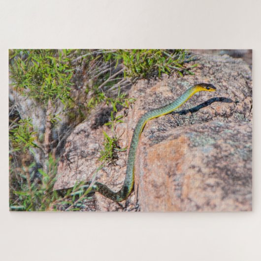 Colorful green tree snake Australia, 1014 pieces ジグソーパズル (横)