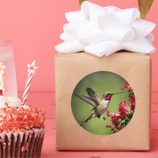 Colorful Hummingbird ラウンドシール (パーティー)
