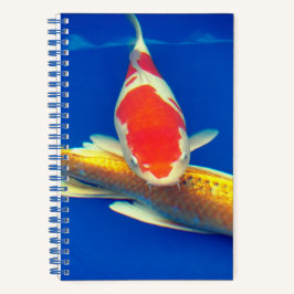Colorful Koi in Blue Pool ノートブック
