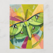 Colorful Luna Moth Painting ポストカード (正面)