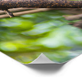 Colorful Macaw Parrots Perched Together ポスター (角)