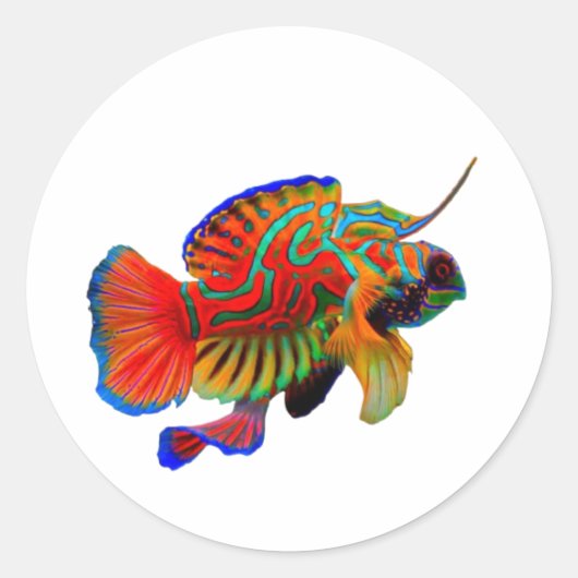 ​Colorful Mandarinfish Die-Cut Decal - Exotic Reef ラウンドシール (正面)