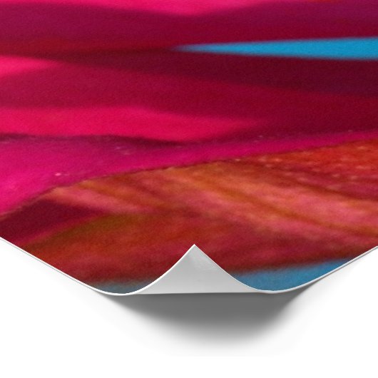 Colorful Mantis ポスター (角)