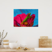 Colorful Mantis ポスター (キッチン)