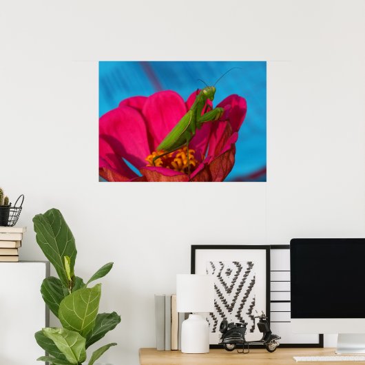 Colorful Mantis ポスター (ホームオフィス)