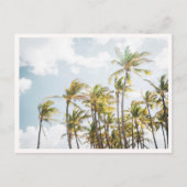 Colorful Palm Trees in Hawaii Blank ポストカード (正面)