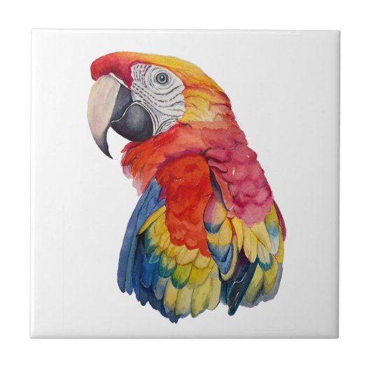 Colorful Parrot Watercolor Illustration タイル (正面)
