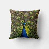 Colorful peacock クッション (裏面)