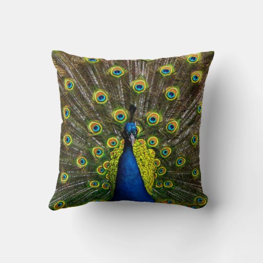 Colorful peacock クッション (裏面)