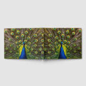 Colorful peacock ゲストブック (全面)
