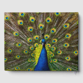 Colorful peacock ゲストブック (裏面)