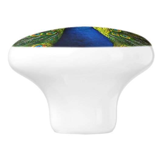 Colorful peacock セラミックノブ (側面)