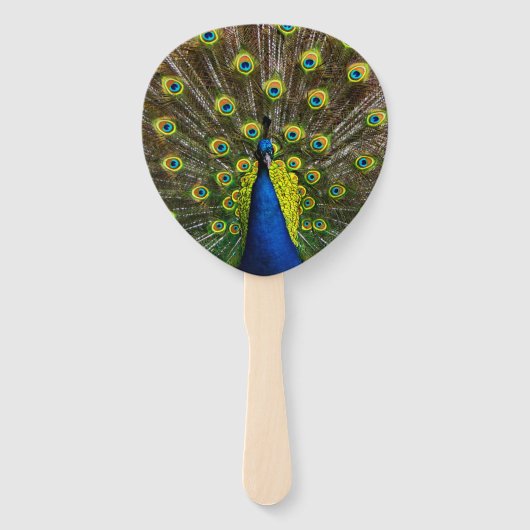 Colorful peacock ハンドファン (裏面)