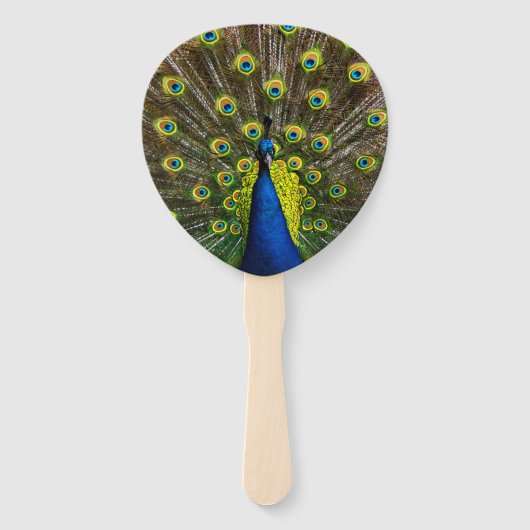 Colorful peacock ハンドファン (正面)
