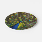 Colorful peacock ペーパープレート (アングル)