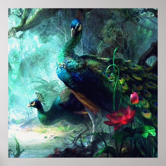 Colorful peacocks in misty forest Poster ポスター (正面)